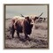 Stupell Industries Farm Cattle Rustic Vintage Styling Framed Floater Canvas Wall Art